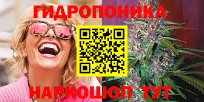 ПСИЛОЦИБИНОВЫЕ ГРИБЫ Канаш