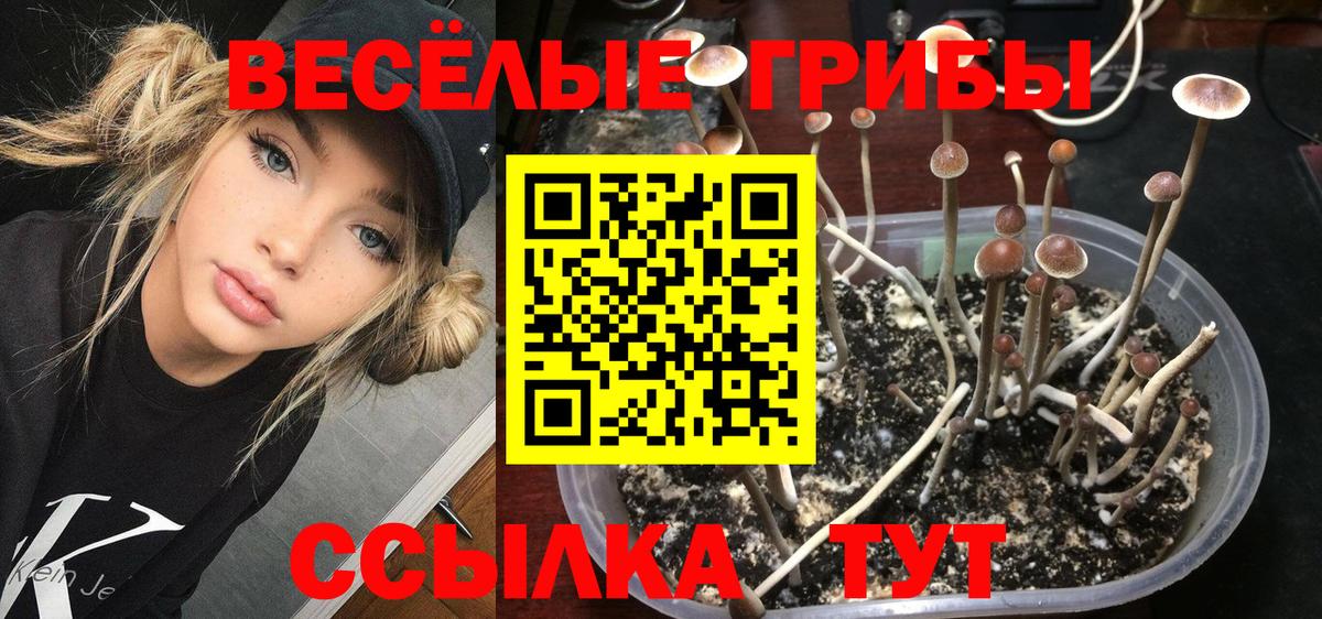 Гашиш  Ипатово  Лсд 25  Вход с VPN  МЕТАДОН  МЕФ   MDMA  Кокаин 