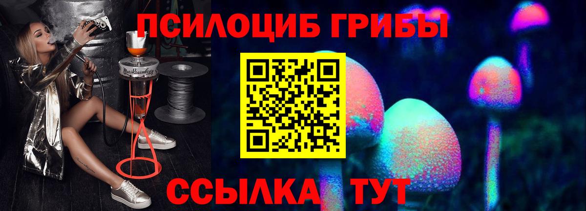 Псилоцибиновые грибы Psilocybe Ипатово